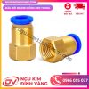 Đầu Nối Nhanh Đồng Ren Trong - PCF